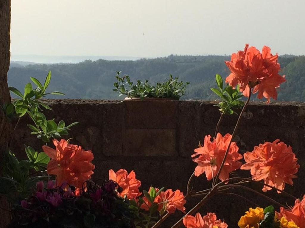 L'Incanto Di Civita Bagnoregio Luaran gambar